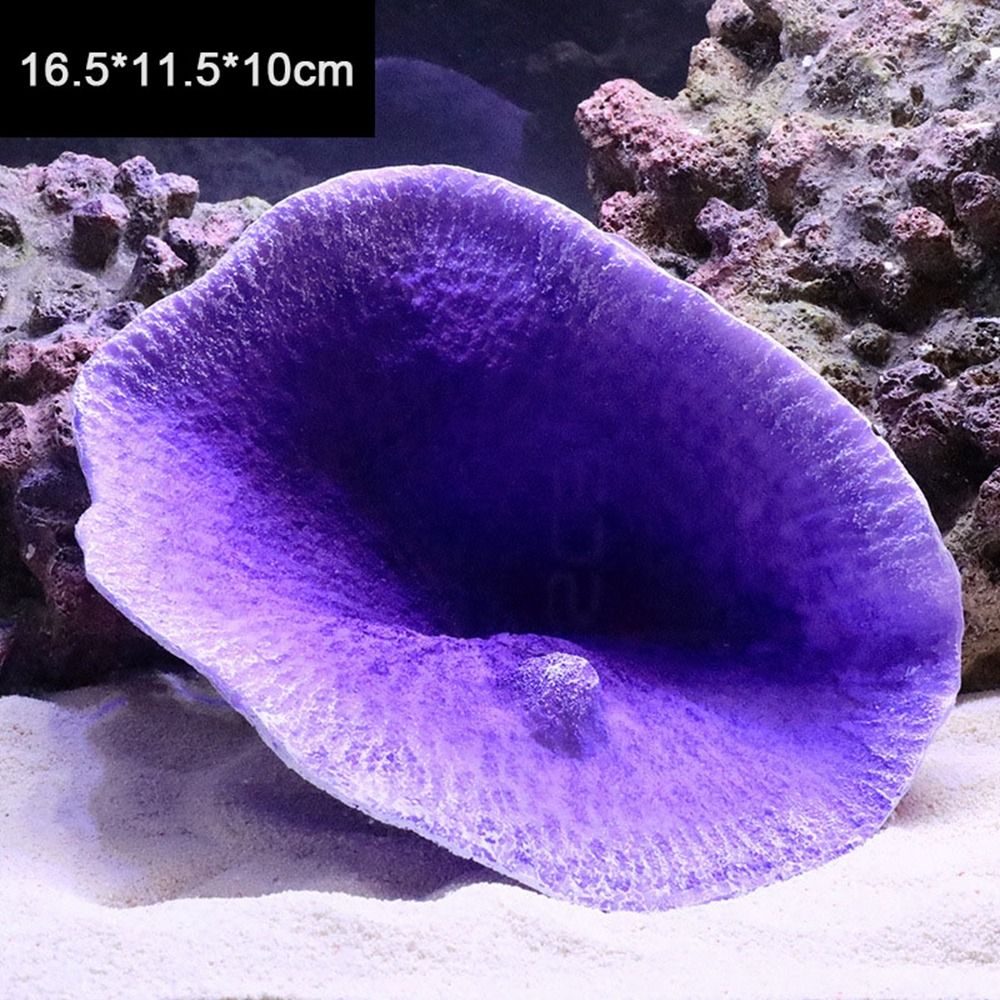 Modelo de Coral Artificial de  - Marine Coral reseña y precio