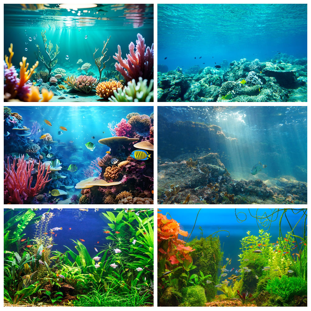 Fondo de fotografía de fondo m - Aquarium Marine World reseña y precio