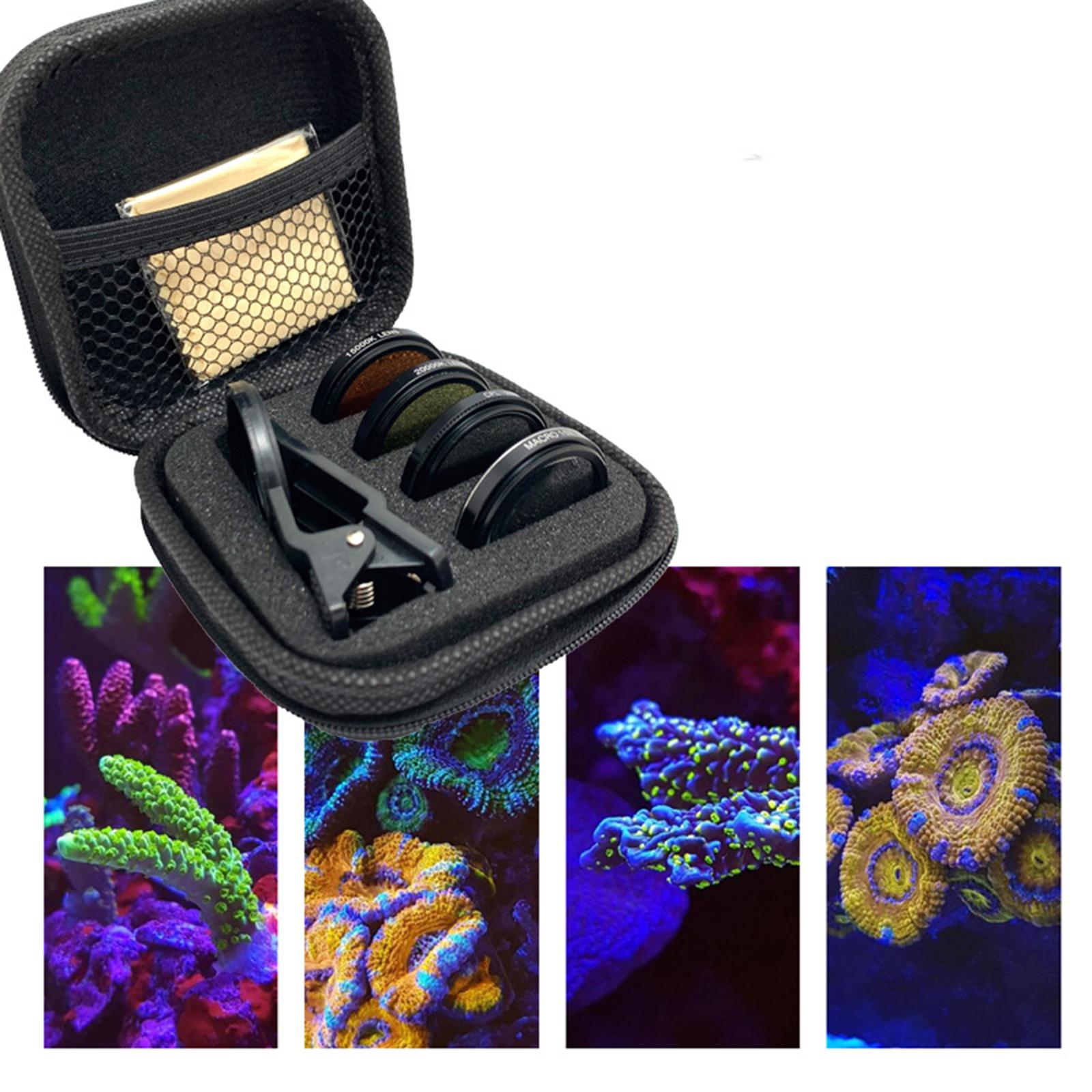 Kit de fotografía de arrecifes - Marine Aquarium reseña y precio