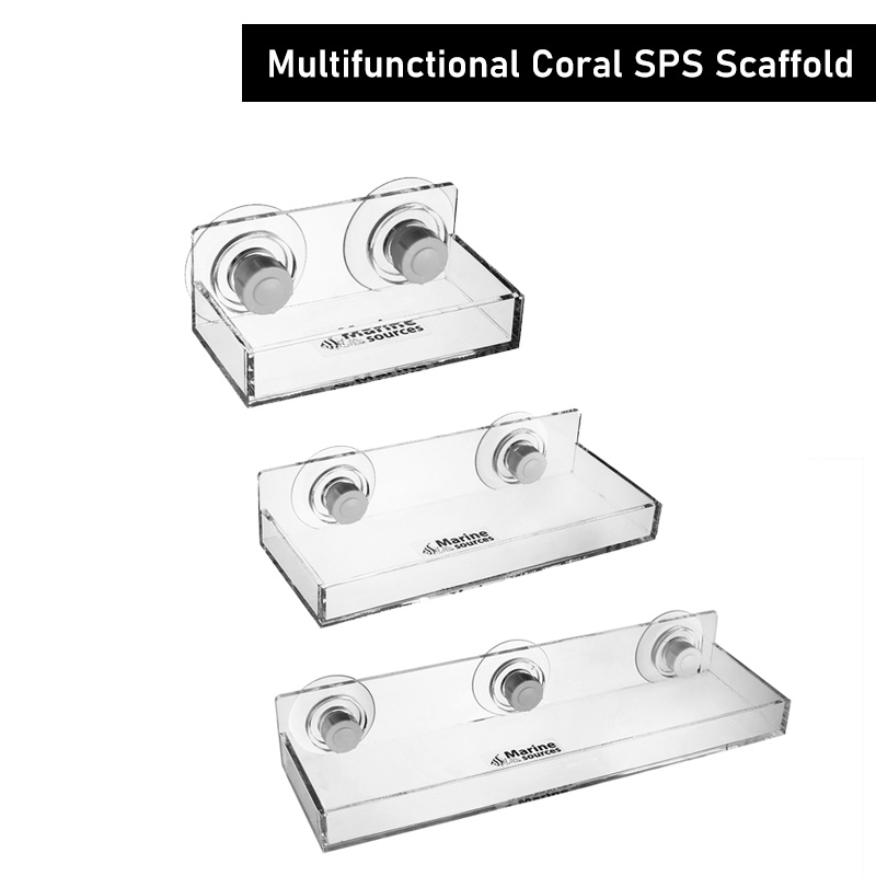 Andamio SPS de coral multifunc - Marine Coral reseña y precio