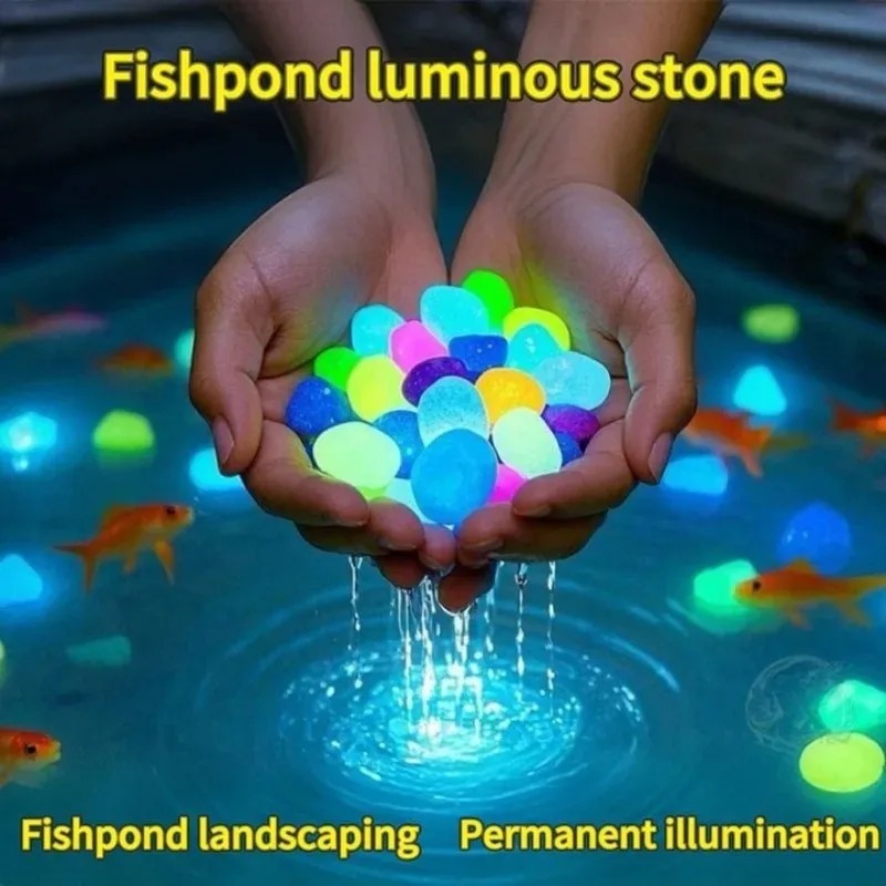 100-1000 Uds. Piedra luminosa  - Marine Fish Tank reseña y precio